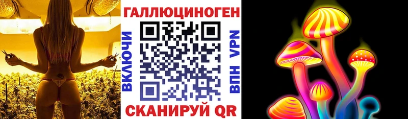 OMG сайт  Волхов  Псилоцибиновые грибы Cubensis  купить наркоту 