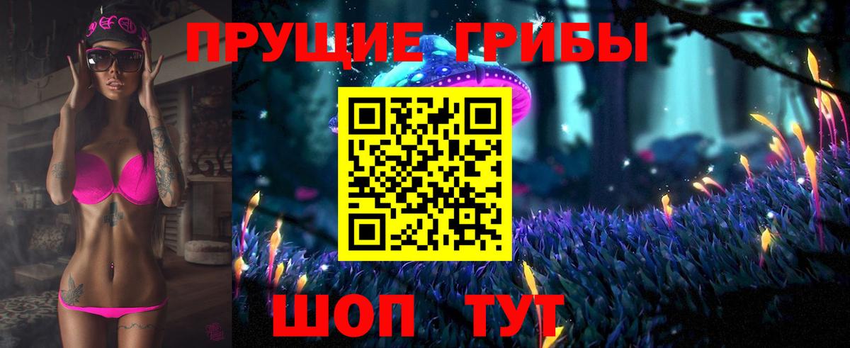 Волхов  где купить наркоту  Вход с VPN  Псилоцибиновые грибы Psilocybe 