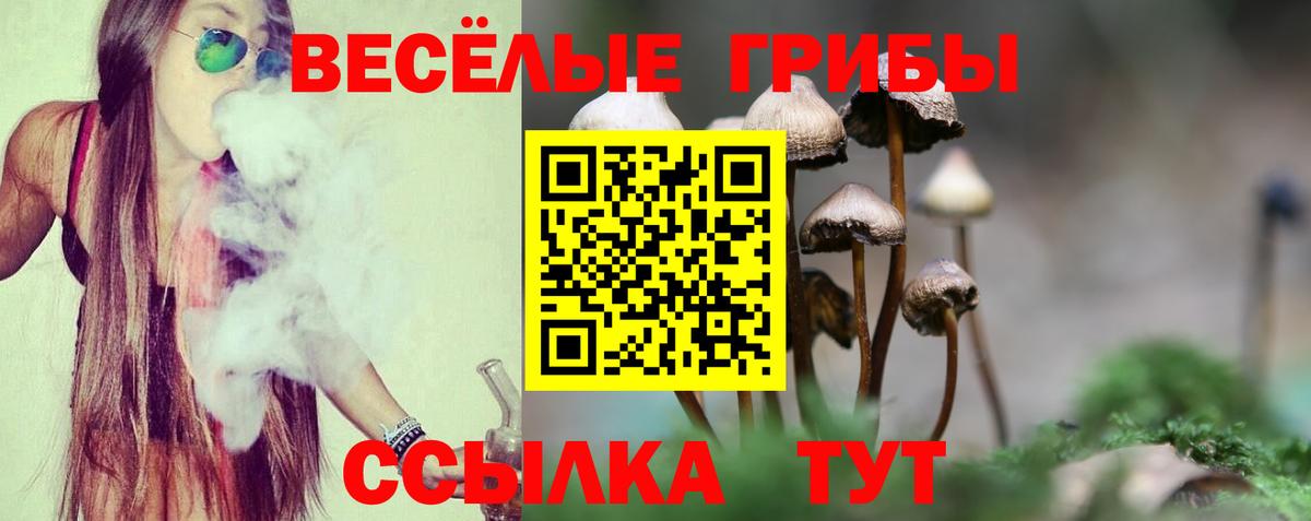 Псилоцибиновые грибы Psilocybine cubensis Волхов
